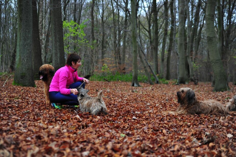 Herbst 1